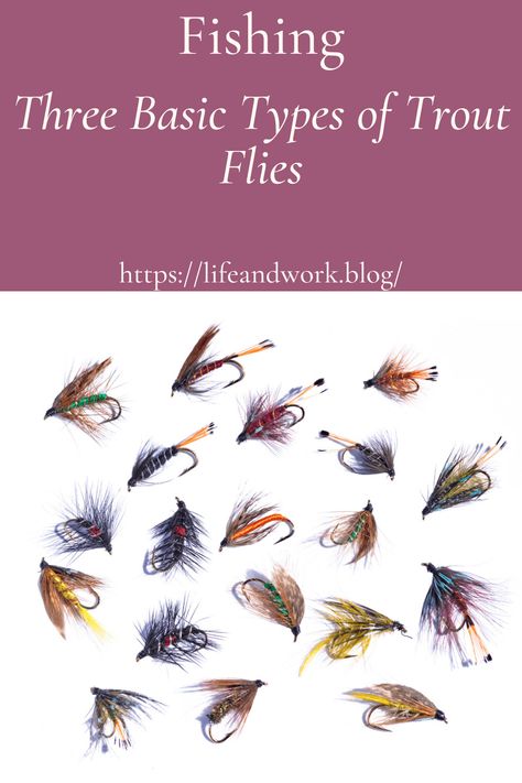 Best Trout Flies, Fly Fishing Knots, Aquatic Insects, Caddis Flies, Trout Flies, Fish Feed, Fly Fishing Tips, Fly Fishing Gear, Fly Fishing Flies Trout