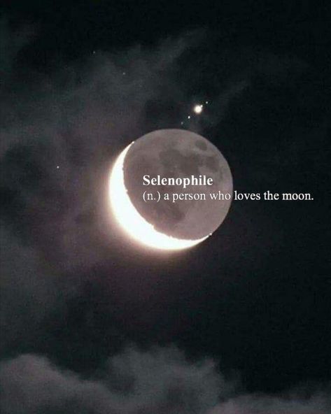 Selenophile Meaning, Selenophile Quotes, Selenophile Aesthetic, Toot Bags, Moon Selenophile, I Just Need You, Violet Aesthetic, The Moon Is Beautiful, Look At The Moon