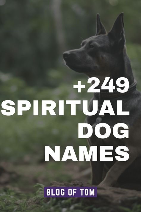 We’ve compiled a list of 249+ spiritual dog names that covers a wide range of preferences including unique, cute, catchy ideas! Goth Dog Names, Witchy Dog Names, Boho Dog Names, Male Dog Names List, Unique Pet Names, Unusual Dog Names, Rare Dog Names, Aesthetic Dog Names, Unique Dog Names