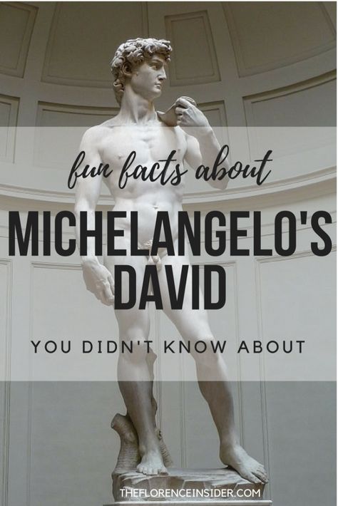 10 fun facts about Michelangelo's David - The Florence Insider Michelangelo Quotes, Worried Expression, The David Statue, David Florence, The Statue Of David, Michelangelo Sculpture, Statue Of David, Michelangelo's David, 10 Fun Facts