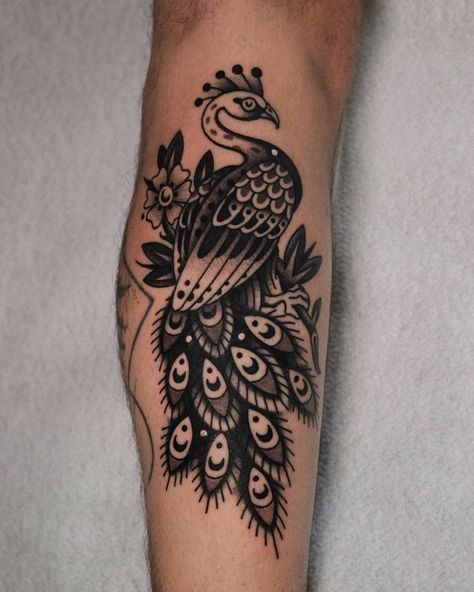 Peacock for Elad ! 🤜🤛 Booking for September is open ✉️ Black And Grey Peacock Tattoo, American Traditional Peacock Tattoo, American Traditional Birds, American Traditional Peacock, Traditional Peacock Tattoo, Egret Tattoo, Japanese Traditional Tattoo Flash, Traditional Tattoo Artwork, Flash Ideas