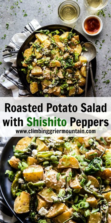 Quick Potato Salad, Shishito Pepper Recipe, Roasted Potato Salad, Roasted Potato Salads, Shishito Peppers, Creamy Mustard Sauce, Roasted Potato, Yummy Salads, Lentil Pasta