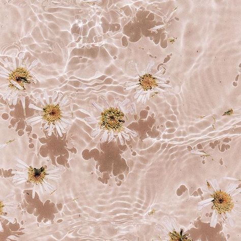 Water With Flowers, Foto Muro Collage, Water Aesthetic, Wallpaper Disney, Fotografi Vintage, Wallpaper Pastel, Wallpaper Tumblr, Images Esthétiques, Photo Wall Collage