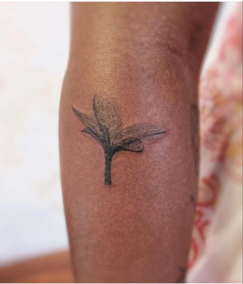 Frangipani flower tattoo on Black woman’s right forearm done by Sloth Ter Tattoo in Chiang Mai Thailand Frangipani Tattoo, Frangipani Flower, Chiang Mai Thailand, Women’s Rights, Chiang Mai, Tattoo On, Trinidad, Sloth, Tattoos For Women