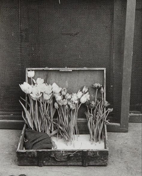 Robert Frank Photography, American Photography, Robert Frank, Robert Doisneau, The Americans, Silver Print, Gelatin Silver Print, City Photography, White Photo