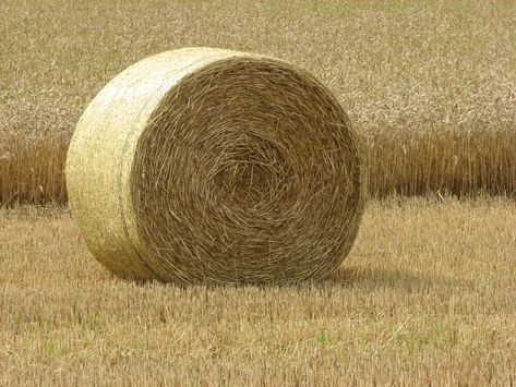 Bale Of Hay, Bales Of Hay, Android Wallpaper Dark, Fantasy Aesthetics, Fields Of Gold, Rural America, Hay Bales, Cowboy Art, Old Trucks