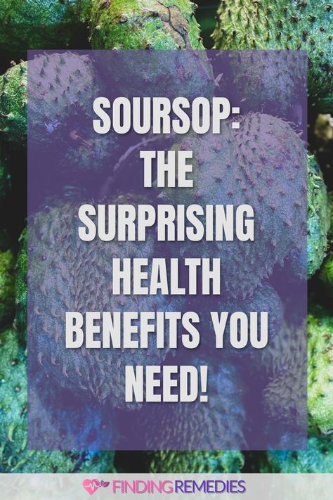 Soursop: The Surprising Health Benefits You Need! Health Benefits Of Soursop, Soursop Benefits, Benefits Of Soursop, Soursop Fruit, Improving Health, Boosting Immunity, Fruit Health Benefits, Fruit Benefits, Good Source Of Fiber