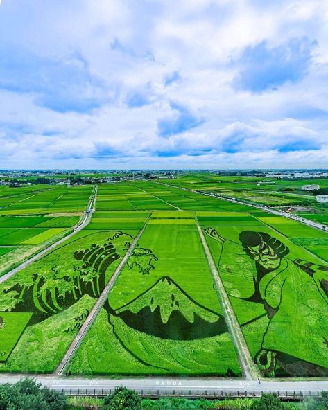 Rice Paddies, Saitama Prefecture, Rice Paddy, Japan Travel Guide, Scale Design, Visit Japan, Tag Photo, Saitama, Art Sculpture