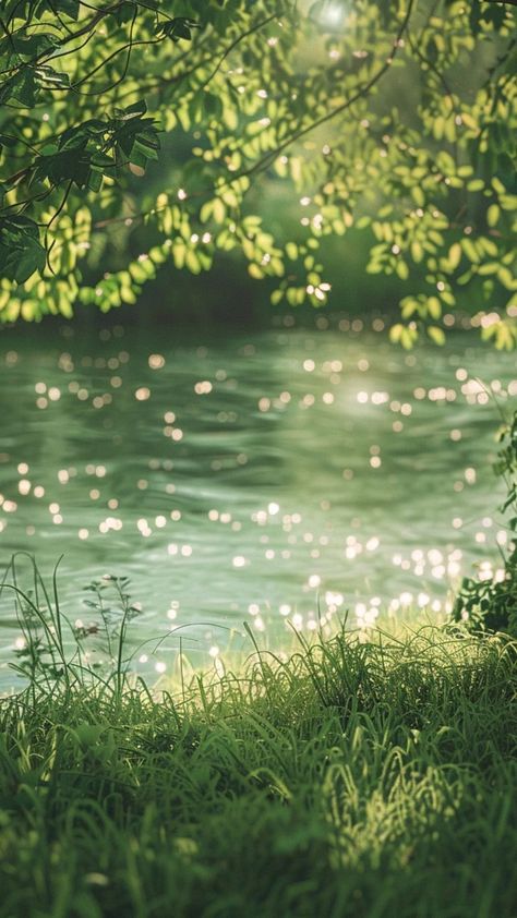 aesthetic cute wallpapers 4k lockscreen of river greens – lifeadorable Wallpaper Aesthetic Nature Green, Peacefully Wallpaper, 4 K Wallpaper Nature, Meadow Wallpaper Iphone, Kiana Aesthetic, Green Nature Aesthetic Wallpaper, Forest River Aesthetic, Calm Lockscreen, Cute Nature Wallpapers