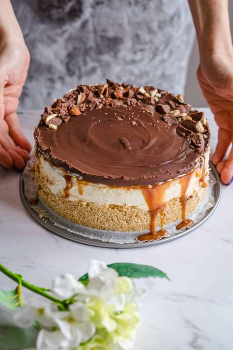 Delicious and decadent Snickers Cheesecake with dripping caramel and chocolate on top Snickers Cheesecake, Chocolate Caramel Cake, Snickers Candy Bar, Chocolate Strawberry Cake, Gooey Caramel, Strawberry Frosting, Healthy Cake Recipes, Chocolate Graham Crackers, Chocolate Powder