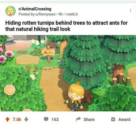 Acnh Tips, Kakariko Village, Cozy Games, Animal Crossing Funny, Ac New Leaf, Animal Crossing Memes, Animal Crossing Guide, Acnh Designs, Animal Crossing Wild World