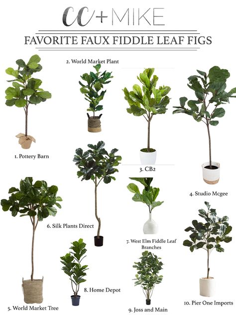 10 Beautiful Faux Fiddle Leaf Fig Trees and Plants for Home Decor Plants For Home Decor, Fiddle Leaf Tree, Ginger Lily, Fig Trees, Plants For Home, Fiddle Fig, Fiddle Leaf Fig Tree, Plant Supplies, Silk Plants