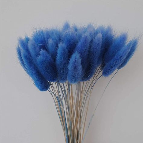 Amazon.com: Color Life 110-120 Pcs Dried Natural Flowers Decoration, Dried Rabbit Tail Grass Flowers,Dried Pampas Grass, Used for Home, Wedding, Party, Theme Decoration,16in ( Blue) : Home & Kitchen Rabbit Tail, Grass Flowers, Home Wedding Party, Pampas Grass Bouquet, Dried Pampas, Grass Decor, Pampas Grass Decor, Grass Flower, Themed Decorations