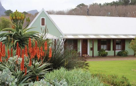 marie-viljoen-No9aloes-gardenista Garden Ideas South Africa, Aloe Garden, Coastal Country, Waterwise Garden, Rock Garden Plants, Growing Succulents, Desert Garden, Colorful Plants, Cape Town South Africa