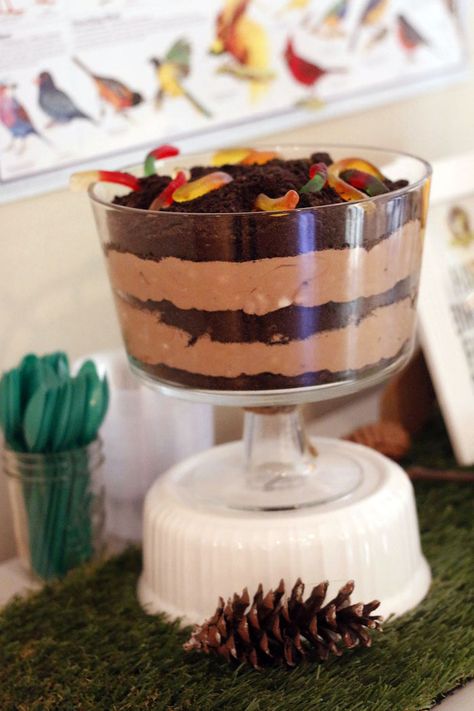 Dirt Pudding Dessert, Nature Themed Birthday Party, Nature Themed Birthday, Natural Birthday Party, Bird Theme Parties, Explorer Birthday Party, Dirt Pudding, Kylie Birthday, Bird Birthday Parties