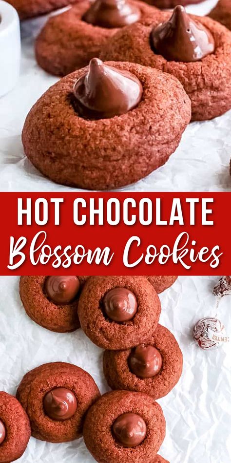 cookies on a plate Hot Cocoa Hershey Kiss Cookies, Hot Cocoa Blossom Cookies, Hot Cocoa Kiss Cookies, Hoho Cookies, Chocolate Blossom Cookies, Blossoms Cookies, Chocolate Kiss Cookies, Brownie Desserts Recipes, Christmas Cookie Recipes Holiday