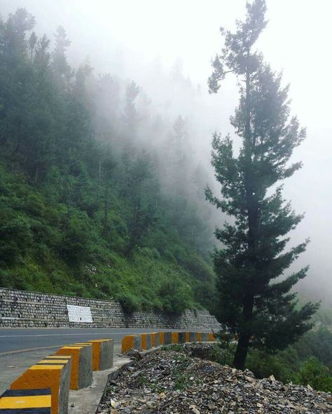 Muree ayubia road Pakistan Muree Pakistan Beautiful, Muree Pakistan, Pakistan Nature, Night Rides Car, Beautiful Pakistan, Travel Picture Ideas, Cloudy Weather, Scenic Roads, Skull Wallpaper