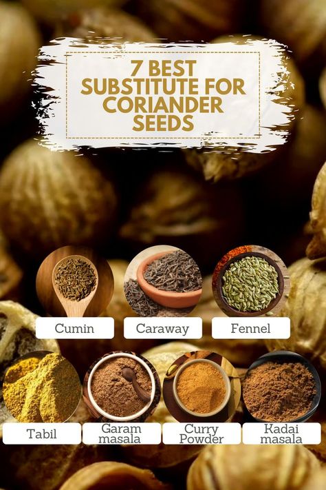 7 Best Substitute For Coriander Seeds Substitute For Coriander, Coriander Seed, Cooking Game, Coriander Seeds, Kitchen Tips, Meal Ideas, The List, Seeds