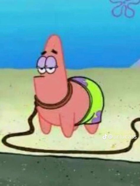 Patrick Star Funny, Funny Patrick, Spongebob Quotes, Spongebob Pics, Spongebob Drawings, Spongebob Square, Spongebob Funny, Funny Pix, Cute Jokes