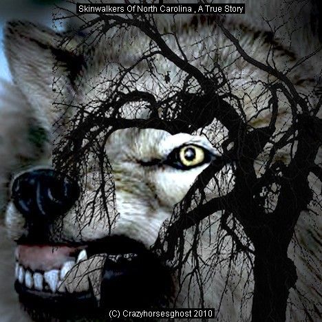 Skinwalkers Of North Carolina A True Story Skinwalker Stories, Skin Walker, The Werewolf, Creepy Things, Creepy Stuff, The Boogeyman, Big Bad Wolf, Strange Things, Wolf Tattoo