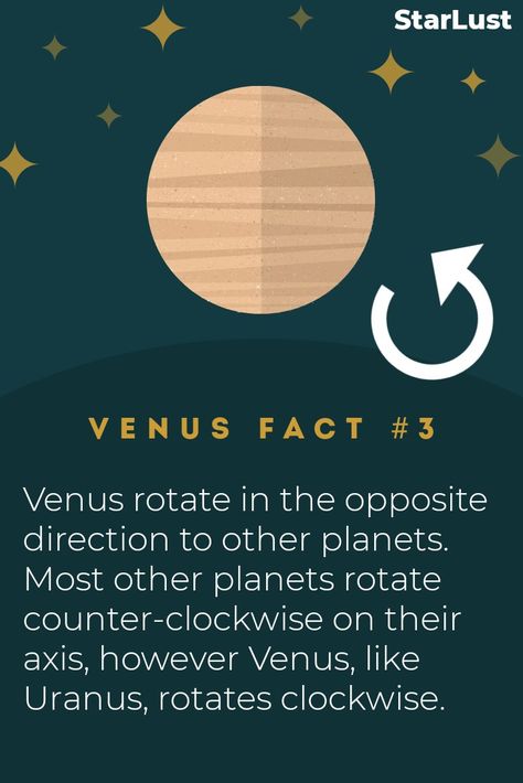 Venus rotate in the opposite direction to other planets. Most other planets rotate counter-clockwise on their axis, however Venus, like Uranus, rotates clockwise. #venus #fact #space #kids #astronomy Facts About Venus Planet, Venus Planet Facts, Preschool Planets, Planet Facts, Venus Facts, Outer Space Activities, Planets Activities, Venus Planet, Homeschool Coop