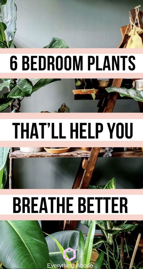 Best Plants For Bedroom, Household Plants, Plant Help, Survival Gardening, Plant Therapy, Air Purifying Plants, Plant Decor Indoor, Bedroom Plants, Plants Indoor