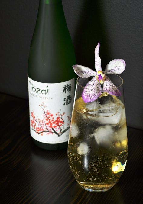 Saki Drink, Sake Drinks, Plum Sake Cocktail, Sake Cocktail Recipes, Asian Cocktail, Japanese Cocktails, Sake Cocktail, Sour Beer, Shandy