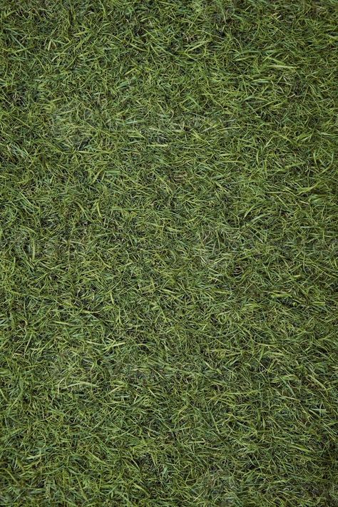 Top view of artificial green grass texture. Fake Grass used on sports fields for soccer, baseball, golf, football, playground, and garden. Synthetic grass for nature, sport, or abstract background Grass Texture Seamless, Green Grass Texture, Dirt Texture, Png Top, Grass Texture, Sea Point, Grass Background, Grass Pattern, Fake Grass