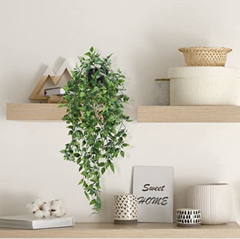 Hanging Plants Indoor Bedroom, College Wishlist, Plant Display Ideas, Indoor Plant Wall, Plant In Pot, Artificial Hanging Plants, Artificial Plant Wall, Real Green, Plant Wall Decor