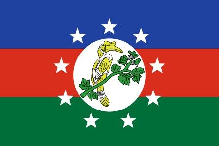 Flag of Chin State, Myanmar Burmese Flag, Myanmar Flag, Boyfriends Be Like, Dj Images Hd, Dance Images, Dj Images, All Flags, Flag Art, Alternate History