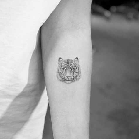 Tiger Face Tattoo, Tiger Head Tattoo, Tattoo Pencil, Face Tattoos For Women, 16 Tattoo, K Tattoo, Tiger Tattoo Design, Head Tattoo, Best Tattoos For Women