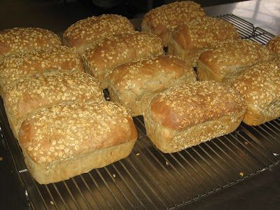 Ezekiel Bread Ezekiel Bread Recipe Easy, Ezekiel Bread Recipe, Ezekial Bread, Ezekiel Bread, Homemade Breads, Grain Mill, Yeast Breads, Creative Cooking, Baked Treats