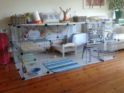 Best setup for an indoor rabbit - Rabbits United Forum #rabbithouses Indoor Rabbit Enclosure, Pet Bunny House, Diy Bunny Cage, Indoor Rabbit House, Diy Rabbit Cage, Rabbit Hutch Indoor, Indoor Rabbit Cage, Diy Guinea Pig Cage, Rabbit Pen