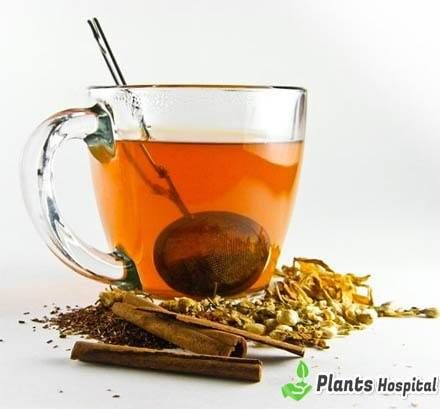 9 Proven Health Benefits Of Honeybush Tea (Cyclopia Subternata) Honeybush Tea, Tazo Tea, Tea Health Benefits, Healthy Herbs, Rooibos Tea, Tea Benefits, Herbs For Health, Red Tea, Sweet Smell