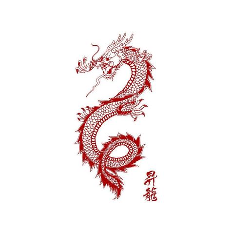 Tattoo Back Women, Bodysuit Tattoos, Red Dragon Tattoo, Dragons Tattoo, Small Dragon Tattoos, Chinese Dragon Tattoos, Dragon Tattoo For Women, Pisces Tattoos, Japanese Dragon Tattoos