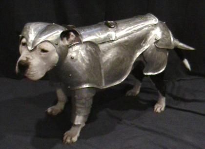 pit armour Dog Armor, Knight In Shining Armor, Dog Halloween Costumes, Medieval Armor, Dog Costumes, Dog Costume, Pit Bull Terrier, Pitbull Dog, Canine Companions