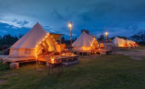 Tented Camp, Dreams Resorts, Firefly Lights, Camping Experience, Family Camping, Light Show, Beautiful Lights, Lake View, Tent Camping