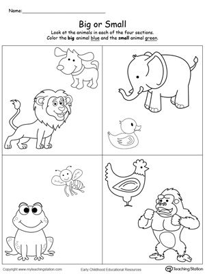 Comparing Animals Sizes Big and Small : Teach your preschooler the concept of big and small with this printable math worksheet. To complete the exercise your child will compare the shapes and identify which is small and which big. Toddler Printables, Nursery Worksheets, Animal Worksheets, Preschool Math Worksheets, Free Preschool Worksheets, Printable Preschool Worksheets, Shapes Worksheets, Kindergarten Math Worksheets, Math Activities Preschool