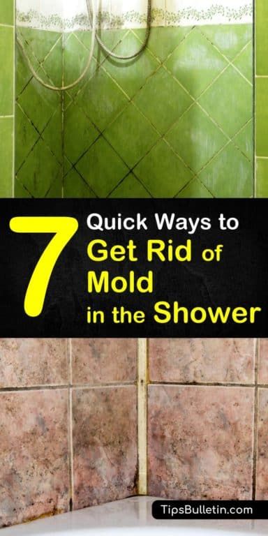 7 Quick Ways to Get Rid of Mold in the Shower Bathroom Mold, Shower Mold, Shower Grout, Remove Mold, Deep Cleaning Hacks, Black Mold, Mold In Bathroom, Cleaning Mold, Stain Removers