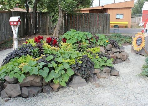 Hugelkultur - the Ultimate Raised Garden Bed | GardensAll Stone Raised Beds, Cheap Raised Garden Beds, Hgtv Garden, Big Plants, Plant Roots, Garden Stones, Raised Beds, Raised Garden Beds, Raised Garden