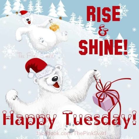 50 Best Happy Tuesday Quotes and Sayings with Pictures Happy Tuesday Winter, Happy Tuesday Pictures, Good Morning Happy Tuesday, Tuesday Pictures, A Positive Thought, Happy Tuesday Morning, Quotes Winter, Tuesday Quotes Good Morning, Tuesday Greetings