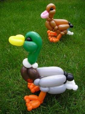 Easy Balloon Animals, Duck Couple, Balloon Face, Duck Party, Balloon Artist, Balloon Modelling, Balloon Pictures, Duck Birthday, Cute Ducklings