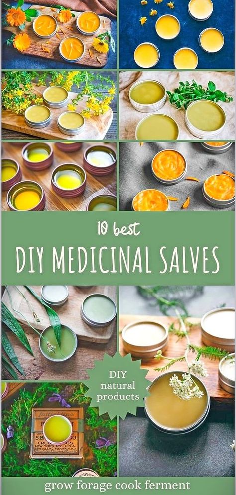 Seeking natural solutions to common skin concerns? Try these 10 DIY medicinal salves. Infused with healing herbs such as calendula, yarrow, and St. John's wort, each salve is designed to promote skin health, from soothing to rejuvenating. Unlock the secrets of best herbs for skin health and craft your own remedies. Explore more on natural remedies, homemade skin care, and herbalism for beginners at growforagecookferment.com. Homemade Salve, Salve Recipes, St John's Wort, Feel Energized, Herbal Salves, Healing Salves, Herbal Tinctures, Herbal Healing, Cough Remedies