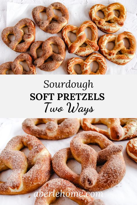 Sourdough Soft Pretzel Recipe, Sourdough Pretzel Recipe, Sourdough Pretzels, Soft Pretzel Recipe, Dough Starter, Bread Sourdough, Sourdough Starter Discard Recipe, Starter Recipes, Discard Recipes