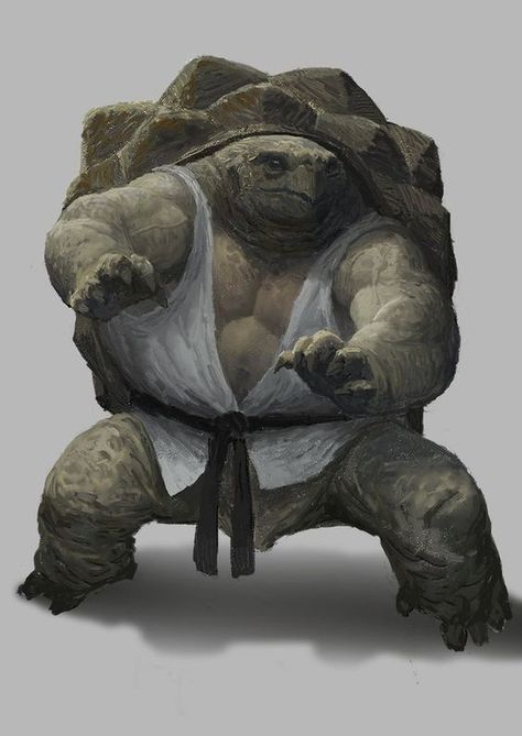 Tortle Monk, Tortle Dnd, Animal Concept, Red Footed Tortoise, 다크 판타지, Dungeons And Dragons Characters, Dungeons And Dragons Homebrew, Fantasy Monster, Arte Fantasy