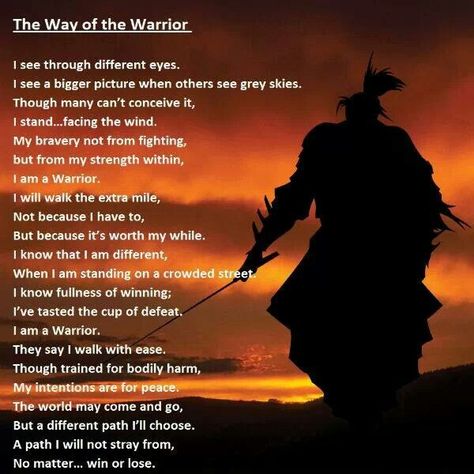 The way of the warrior The Way Of The Warrior, Martial Arts Quotes, I Am A Warrior, Warrior Within, Warrior Spirit, Warrior Quotes, The Warrior, Judo, Way Of Life