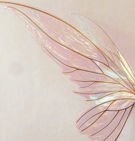 Pink Fairy Wings Aesthetic, Fairy Wings Aesthetic, Fairies Aesthetic, Pixie Aesthetic, Pink Fairy Wings, Pixie Wings, Wallpers Pink, Butterfly Fairy Wings, Wings Fairy