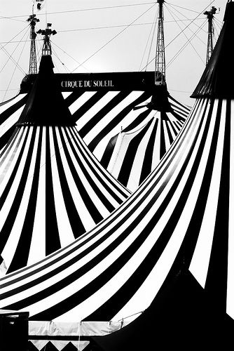 black and white - circus tent The Night Circus, Night Circus, Circus Tent, Big Top, Vintage Circus, The Circus, Black And White Stripes, Black N White, White Photo