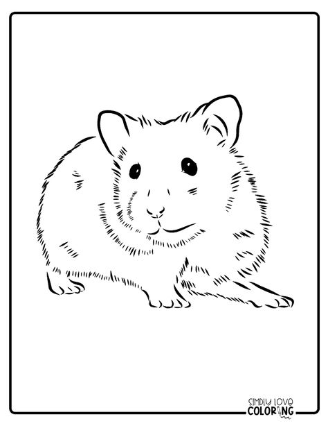 Free Hamster Coloring Pages - Simply Love Coloring Hamster Coloring Pages Free Printable, Hamster Outline, Hamster Coloring Pages, Hamster Eating, Cute Hamster, Funky Hats, Syrian Hamster, Hamster House, Colouring Printables