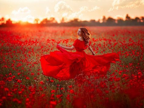 Poppy Cottage, Poppy Photo, Spring Portraits, Spring Photoshoot, Flower Photoshoot, Engagement Pictures Poses, Field Of Flowers, Beach Photography Poses, Outdoor Photoshoot